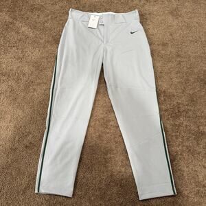 Nike Team Men's Baseball Elastic Waist Stretch Gray Pants Sz L BQ5489-059 NWT